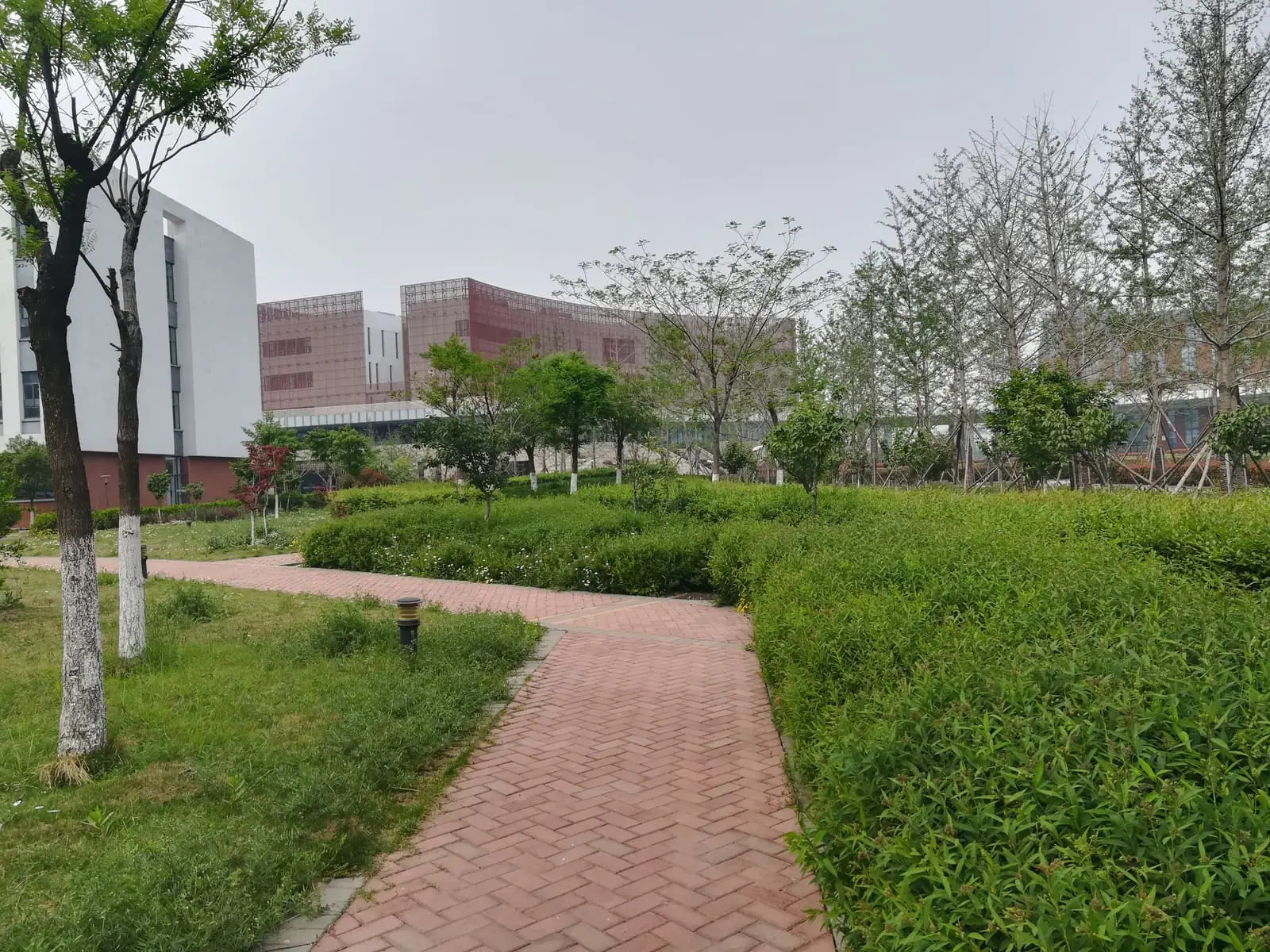 Kangda College of Nanjing Medical University